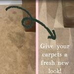 Carpet Cleaning