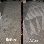 Carpet Cleaning