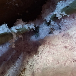 Pics of work
