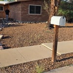 Weeds and debris removal