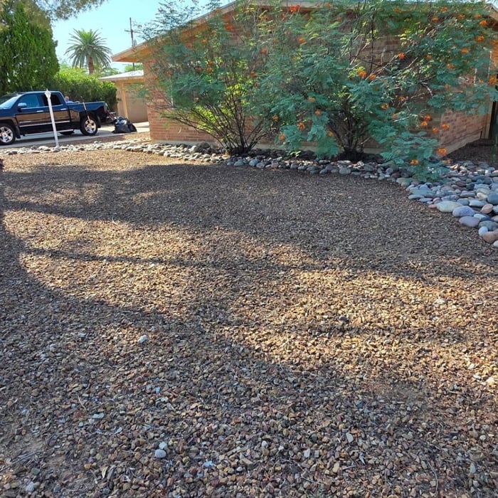 Weeds and debris removal