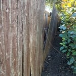 Old Fence