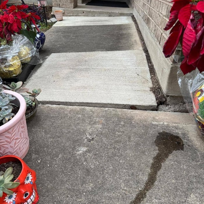 Concrete Pathway Renewal