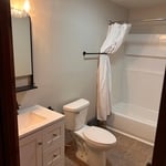 Bathroom Guy and Remodel