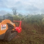 Evergreen land clearing