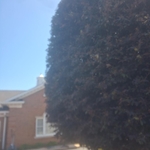 Church beautification