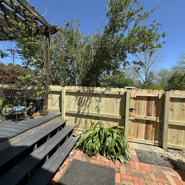 Inside Fence