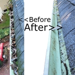 Gutter Cleaning