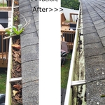 Gutter Cleaning