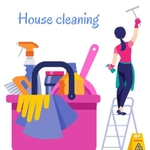 Will Clean It For You