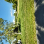 Mowing