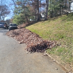 Leaf Cleanup