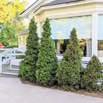 Parks' home
