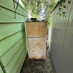 Back yard clean out