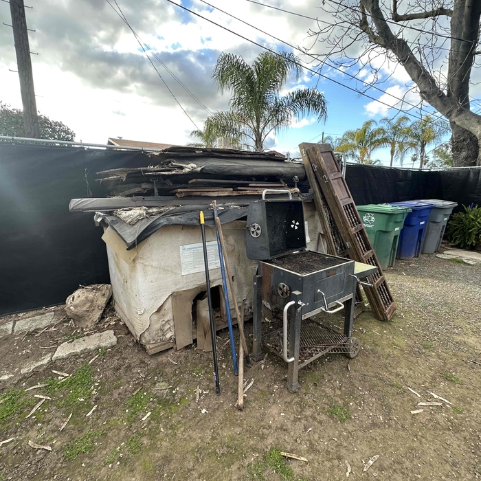 Back yard clean out