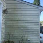 Siding Soft Washing