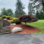 Mulching