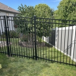 Backyard Oasis