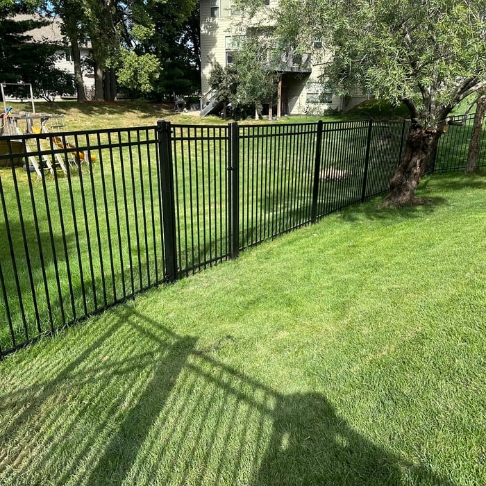 Backyard Oasis