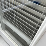 Window Cleaning