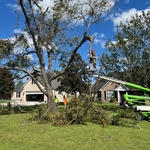 Tree Removal