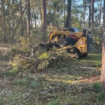 Tree Removal