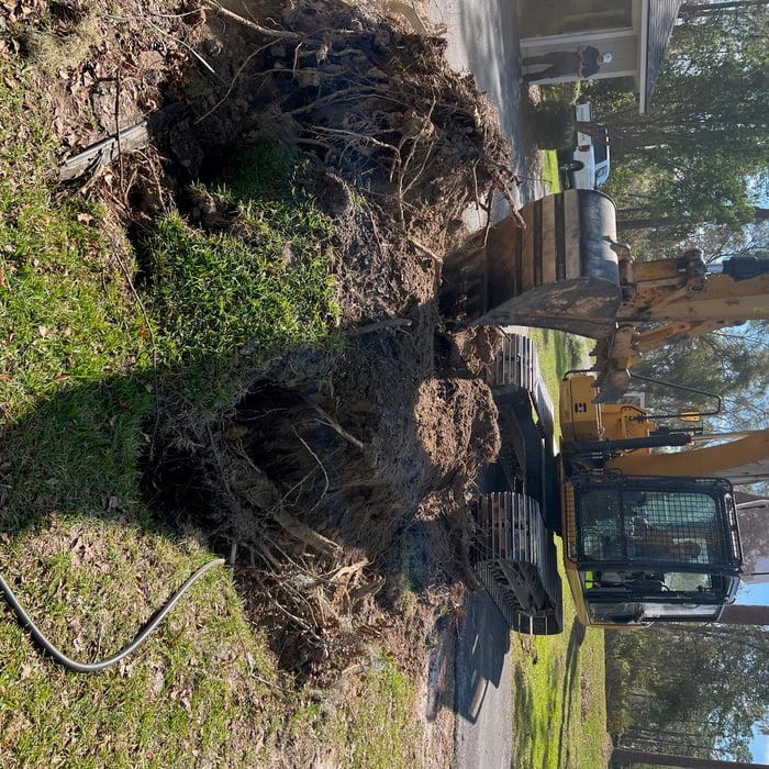 Rootball Removel