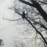 My jobs