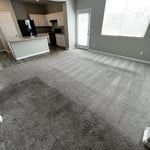 Carpet Cleaning Projects