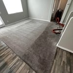 Carpet Cleaning Projects