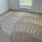 Carpet Cleaning Projects