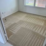 Carpet Cleaning Projects
