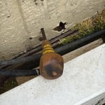 Wood Rot