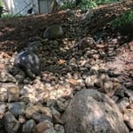 Dry River Bed