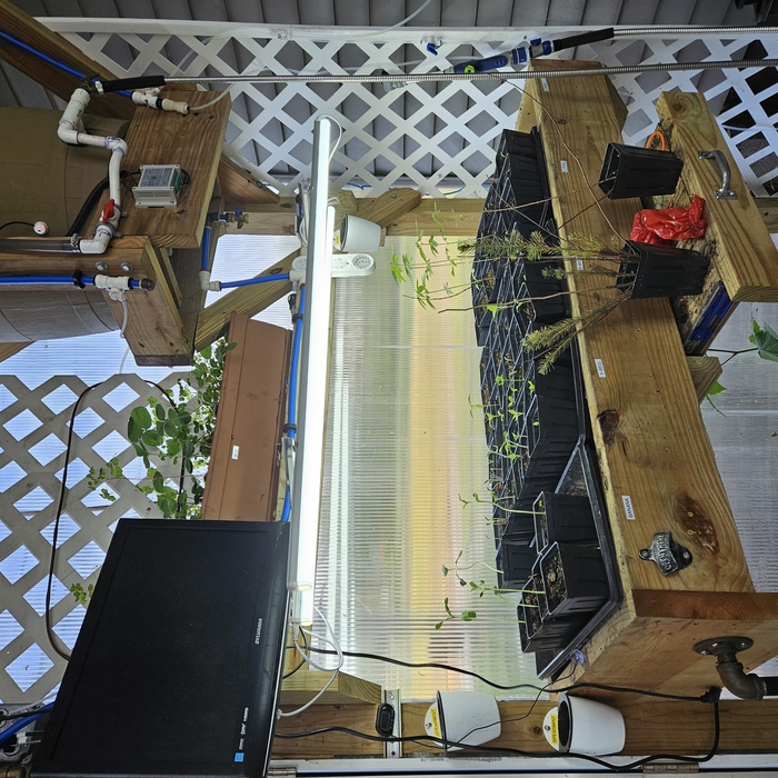 Greenhouse Build
