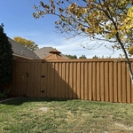 Backyard restoration