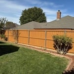 Backyard restoration