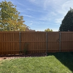 Backyard restoration