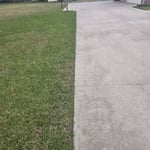 What We Can Do For You...And More