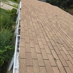 What We Can Do For You...And More