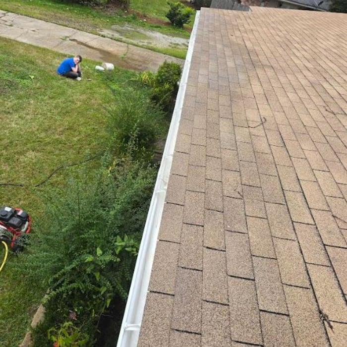 What We Can Do For You...And More