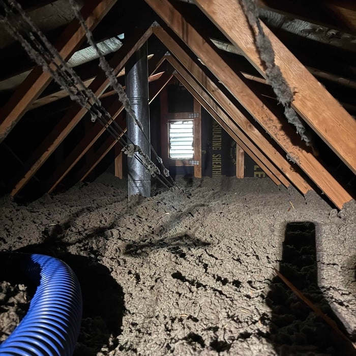 Insulation Removal