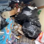 Junk removal whole house
