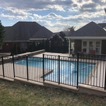 Pool Fence
