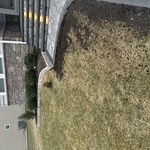 Sidewalk decórate