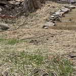 Summit Drive Project