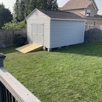 Shed Completed