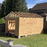 Shed in Progress