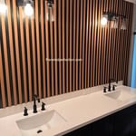 Our previous work