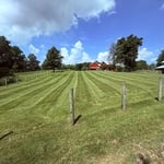 Mowing